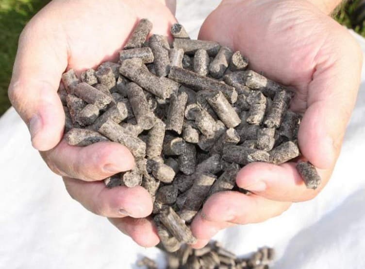 کود مرغی پلت شده برای پایداری تغذیه